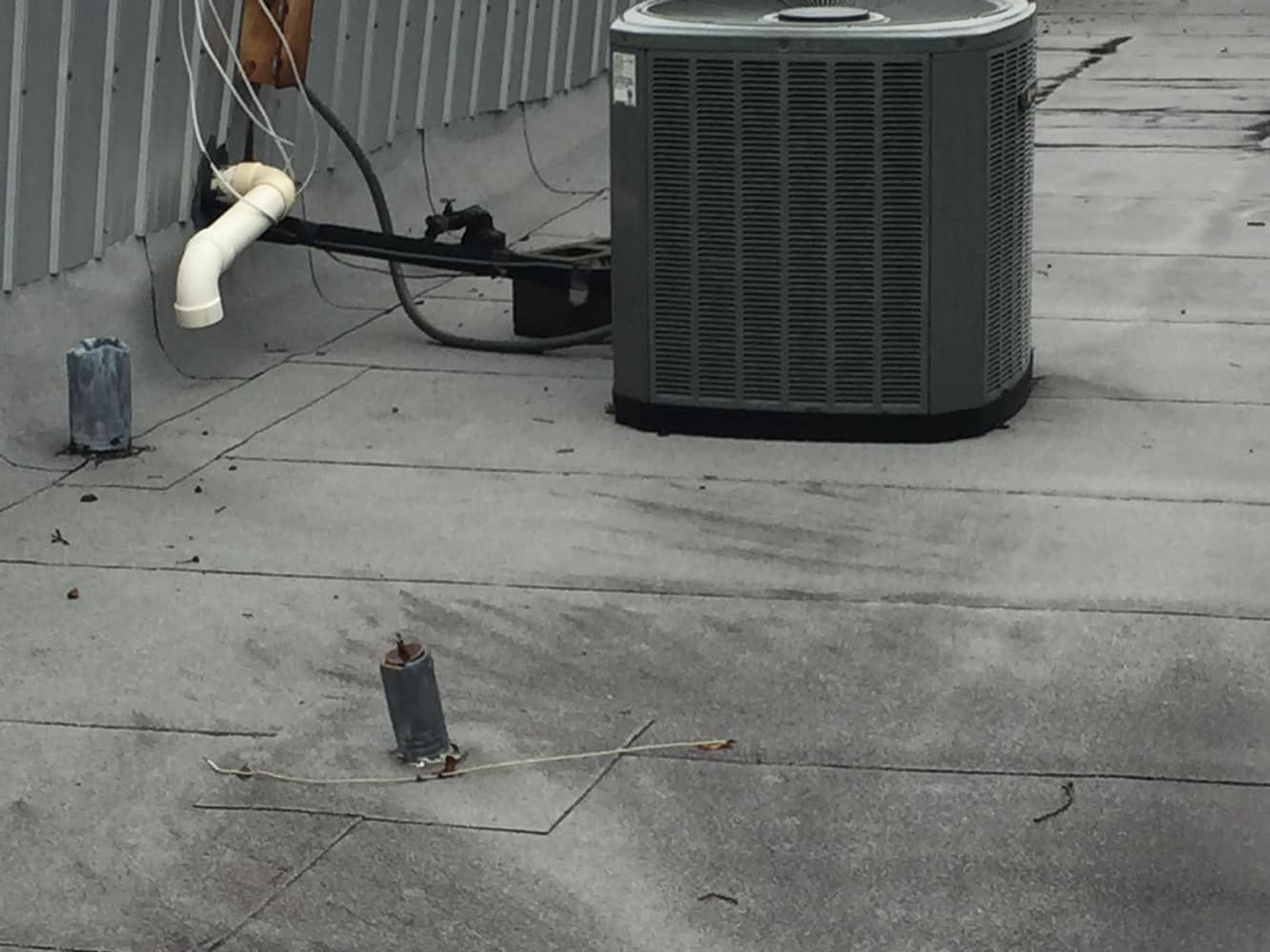 Photos from Michael Ryan