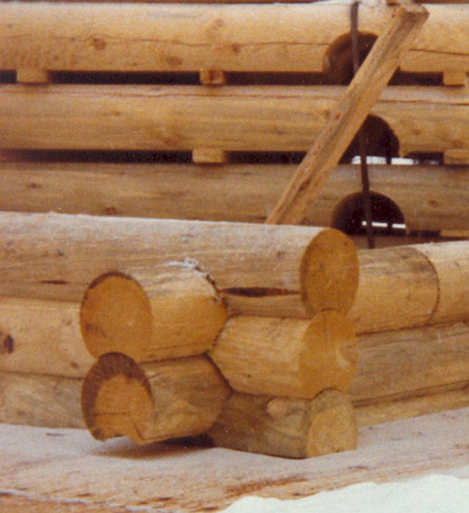 Wilderness Building Systems Project