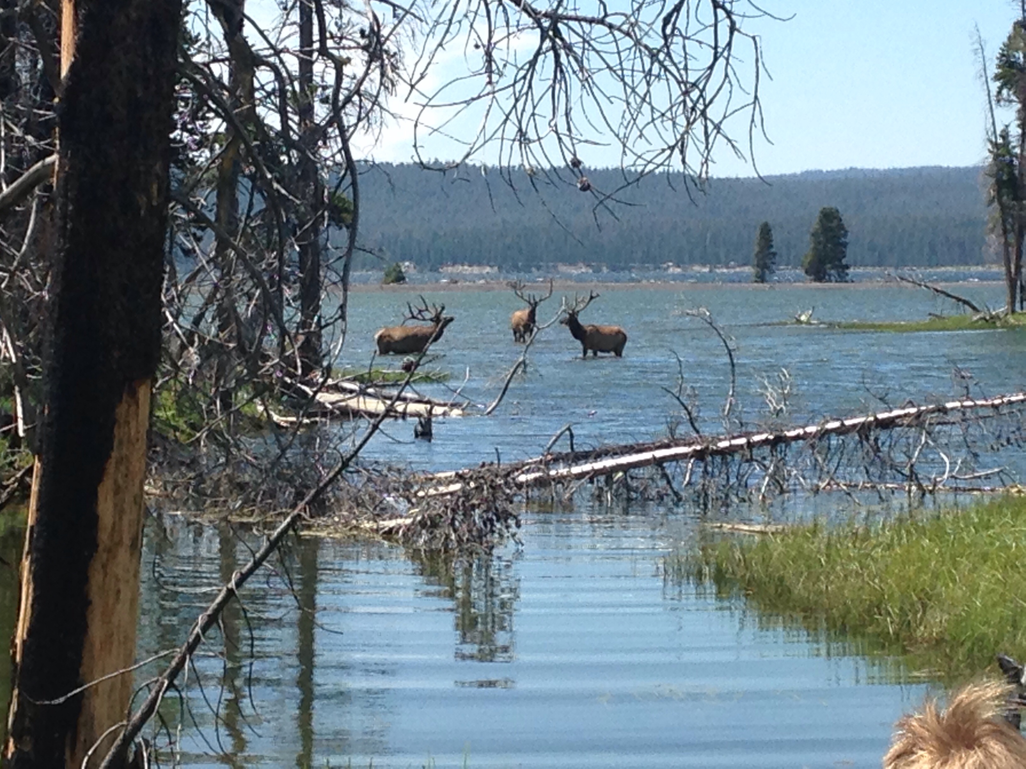 PHD Service LLC Nathan Edward Kiefer