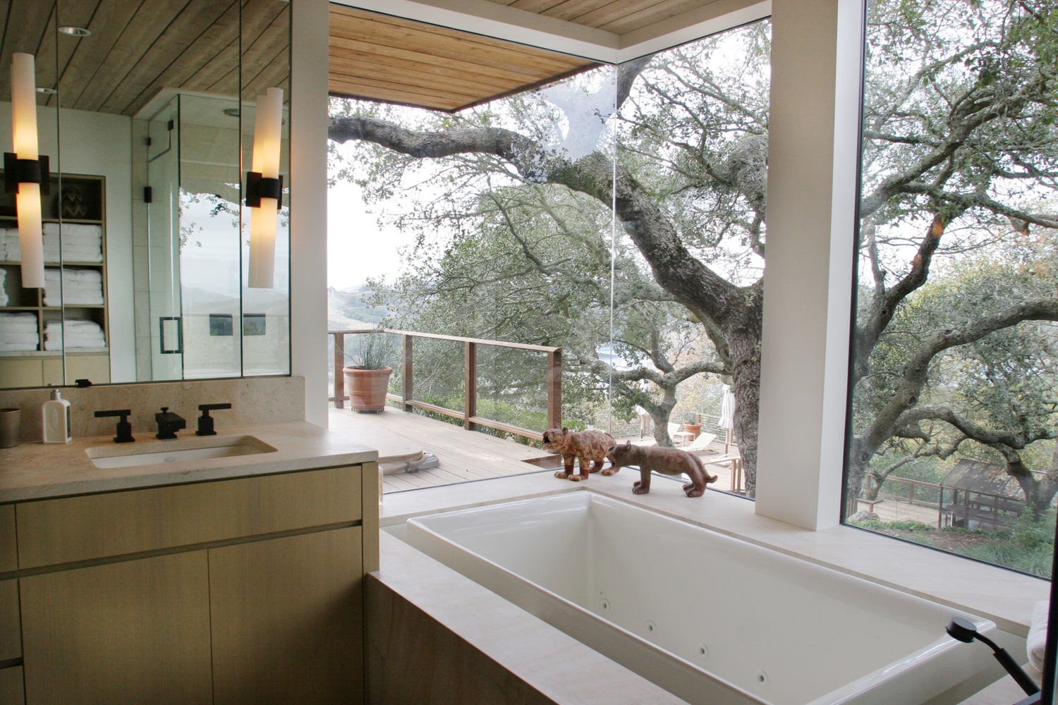 Rennovation and Remodel - Orinda, Ca.