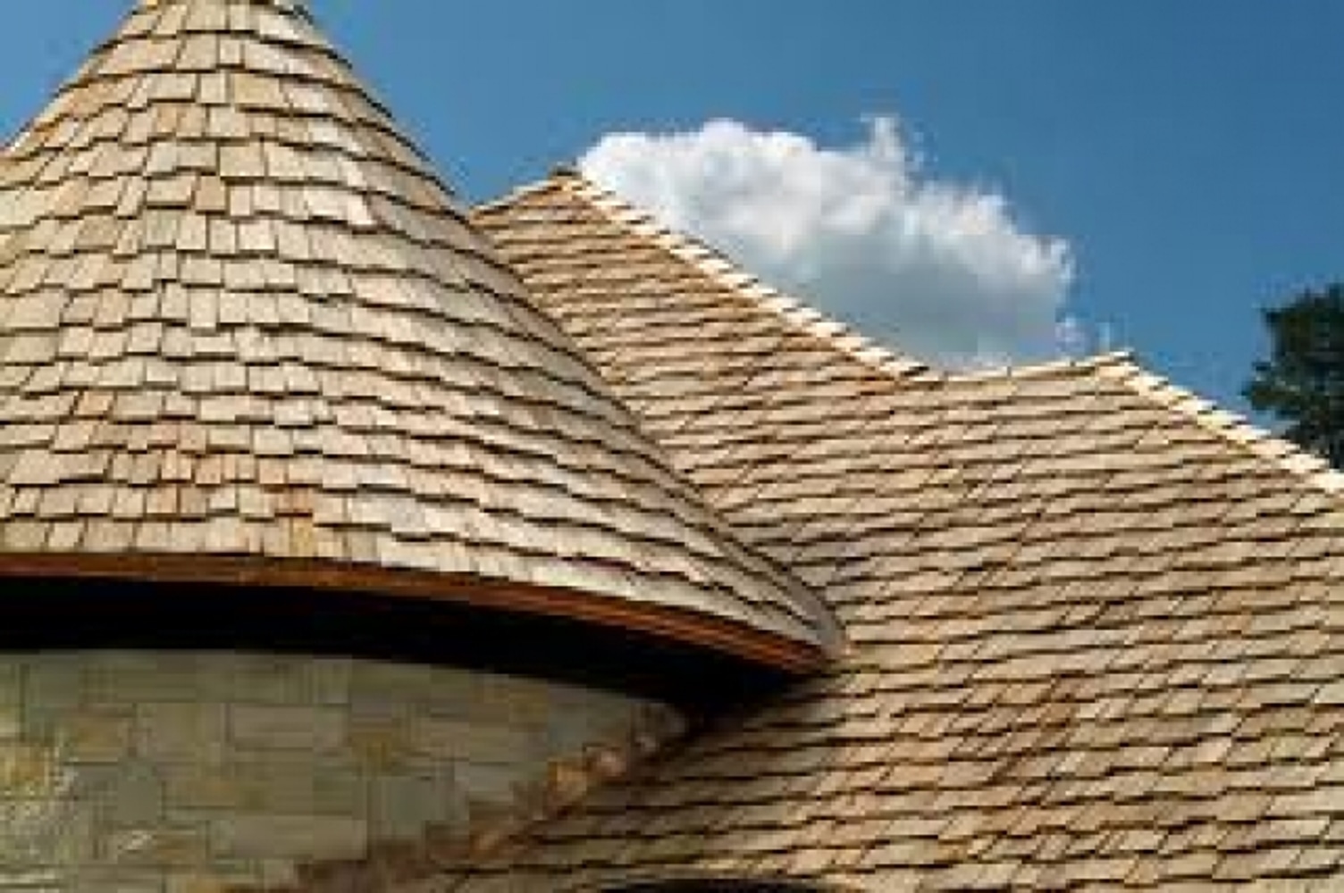 A Plus Roof Types,stills with exotic roofing products.
