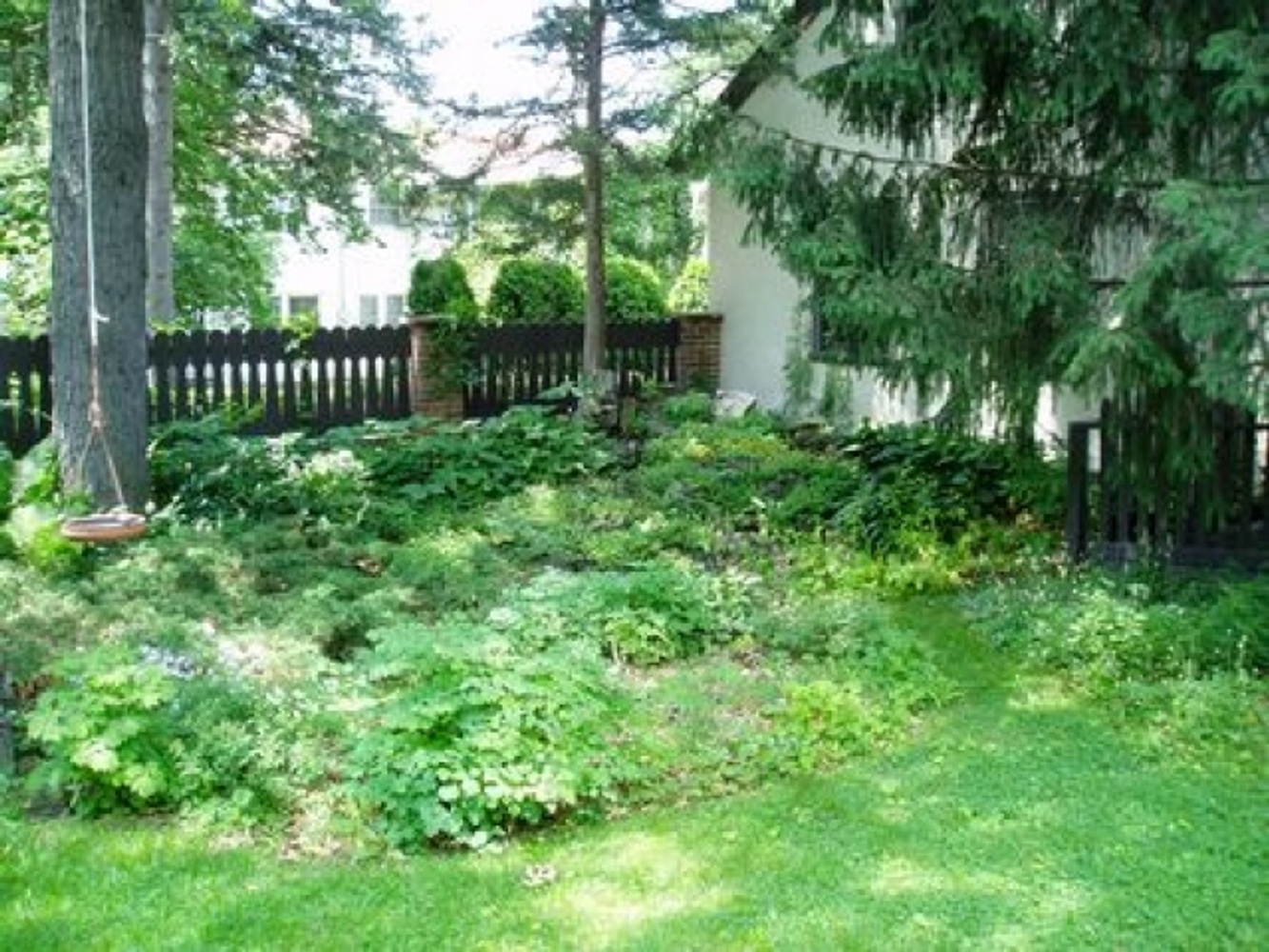 Urban Habitat Gardens