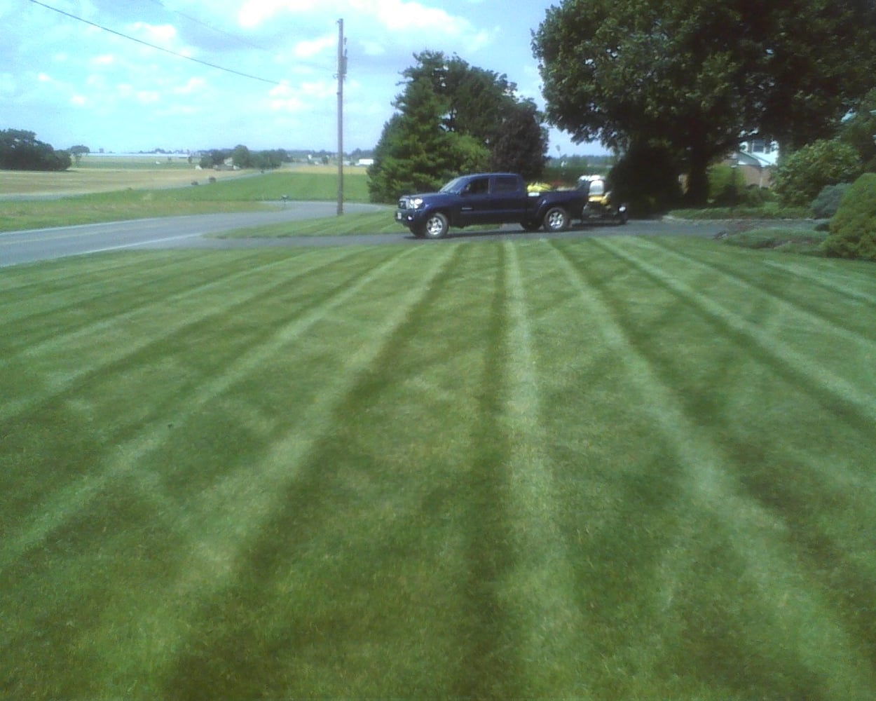 Photos from Immaculate Landscape Specialists, Llc