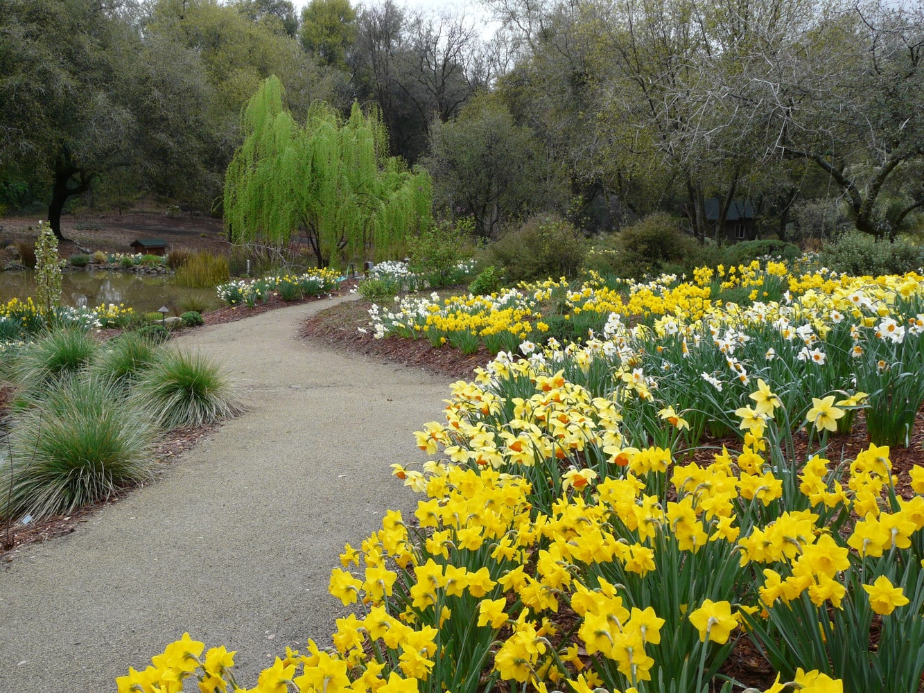 Project photos from Dawn Landscaping Inc