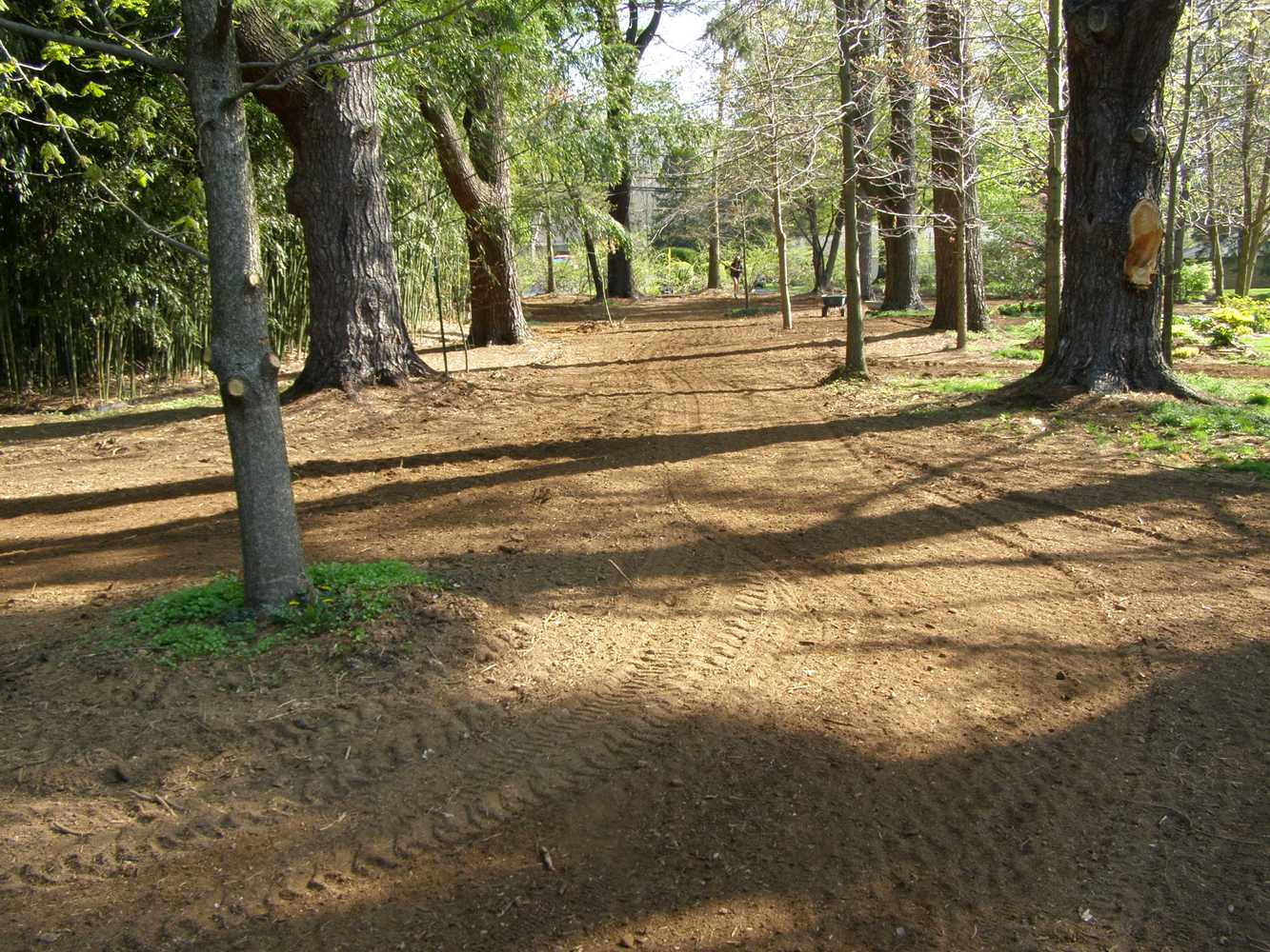 LAWN INSTALLATION SEED PREP JOB SITE