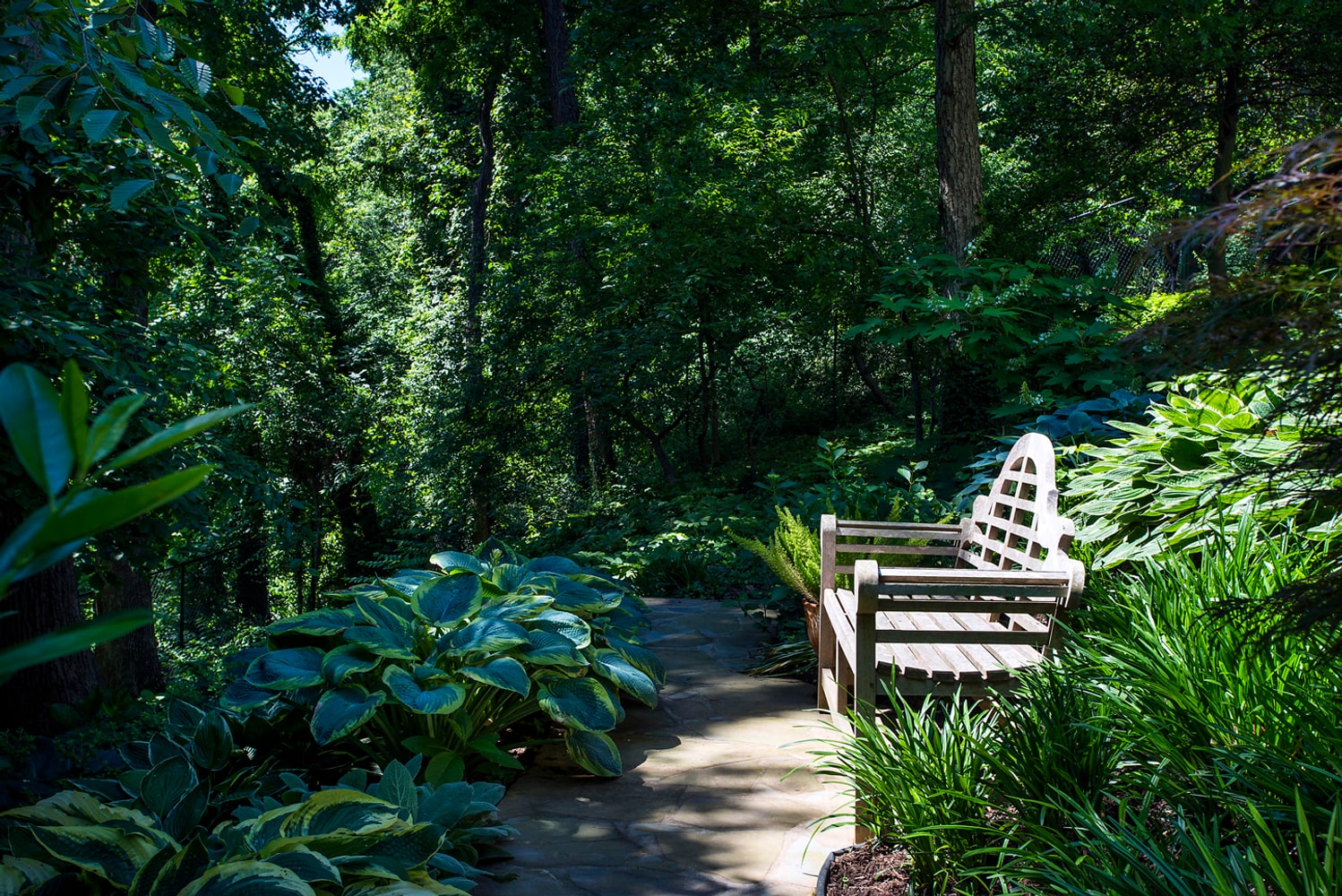 Lincoln Ave - Arlington, VA - Joy Custom Design Build Home