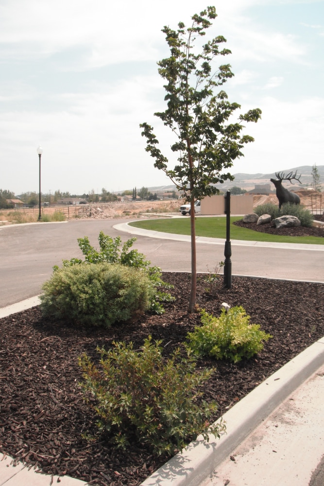 Photo(s) from Rockwell Pointe Inc