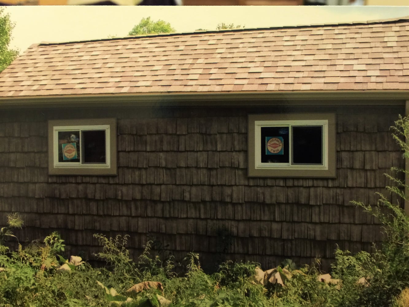 Photos from David Sisko