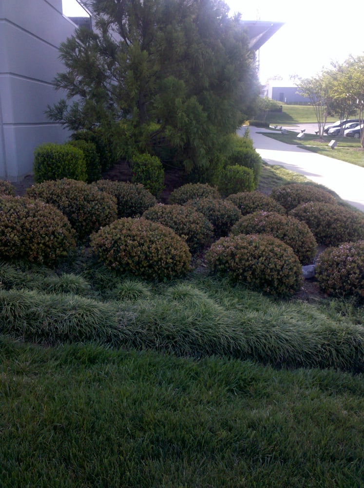 Grassy Meadows lawn care And Tick Control Corp. 