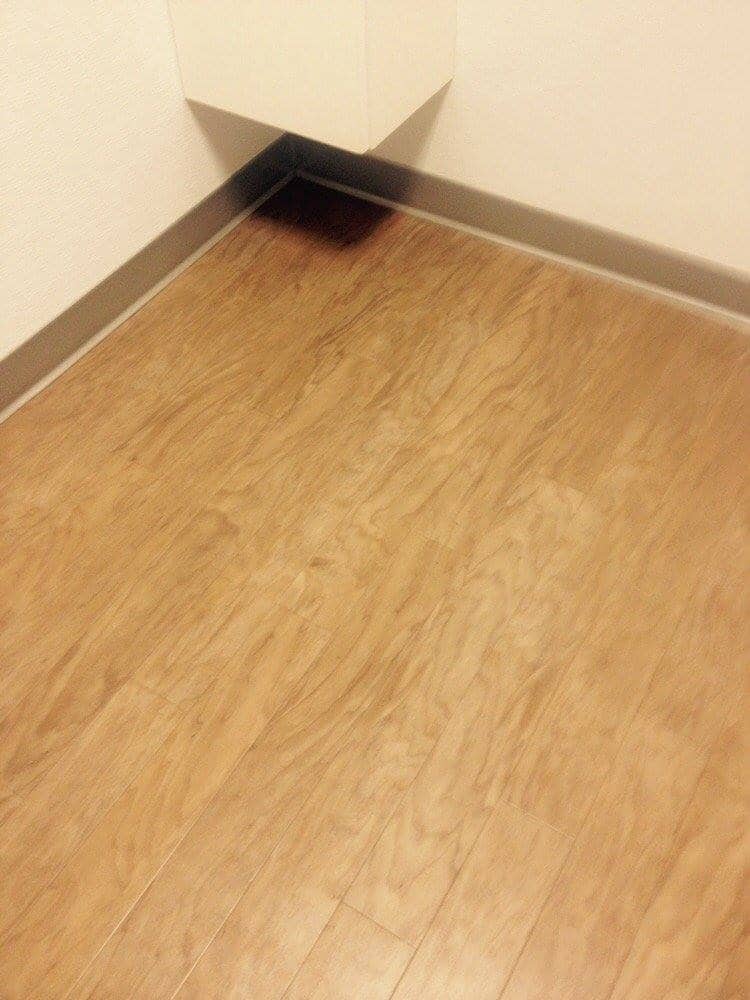 Photo(s) from Leon Pikor