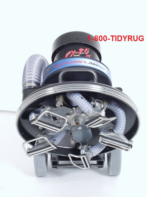 Tidy Rug Carpet Clean