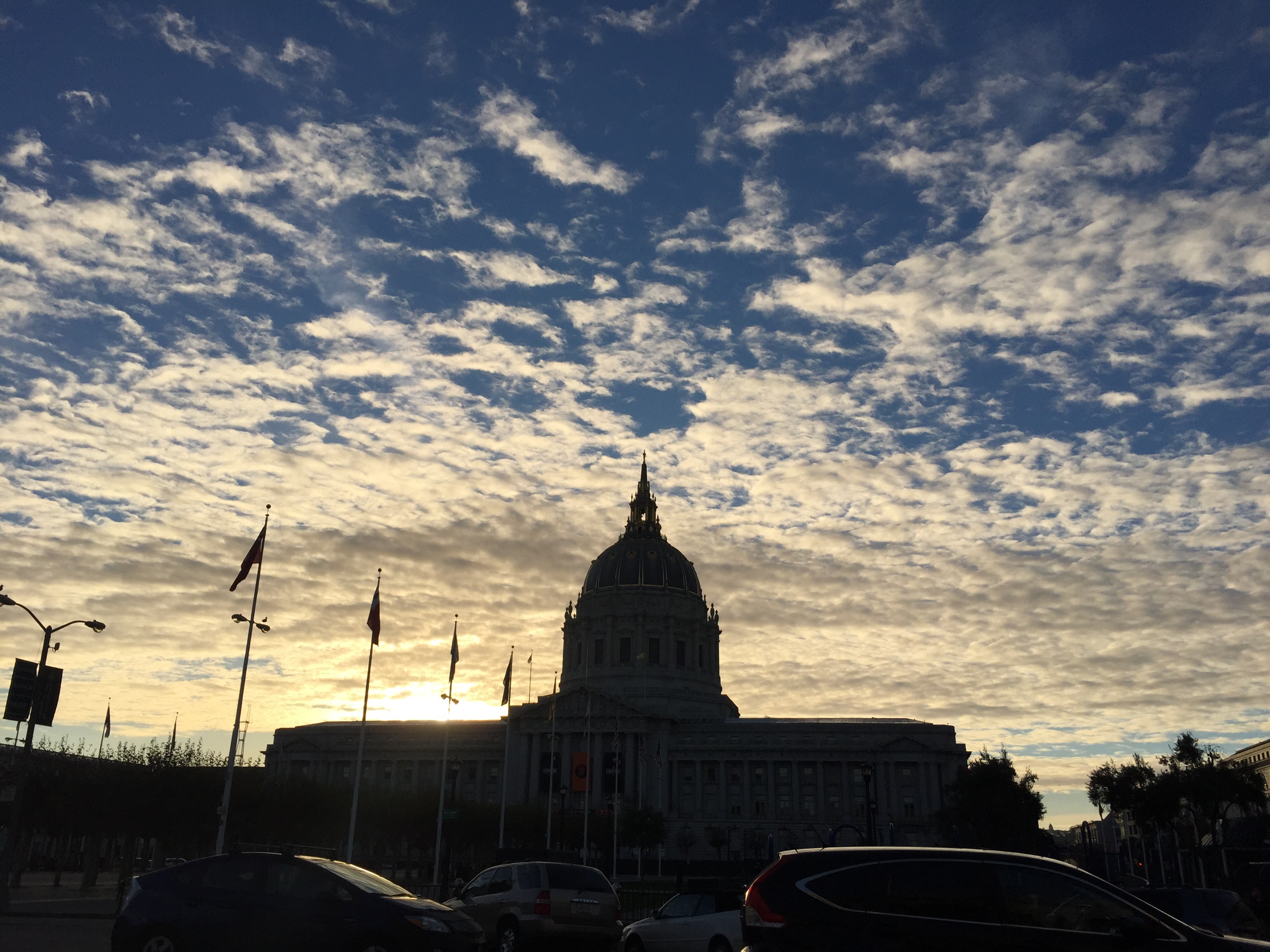 Electrical Herold Guysz