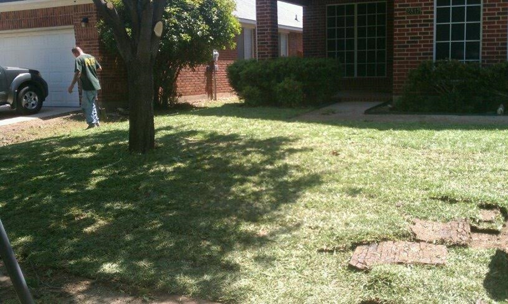 Beautiful New Yard Fort Worth