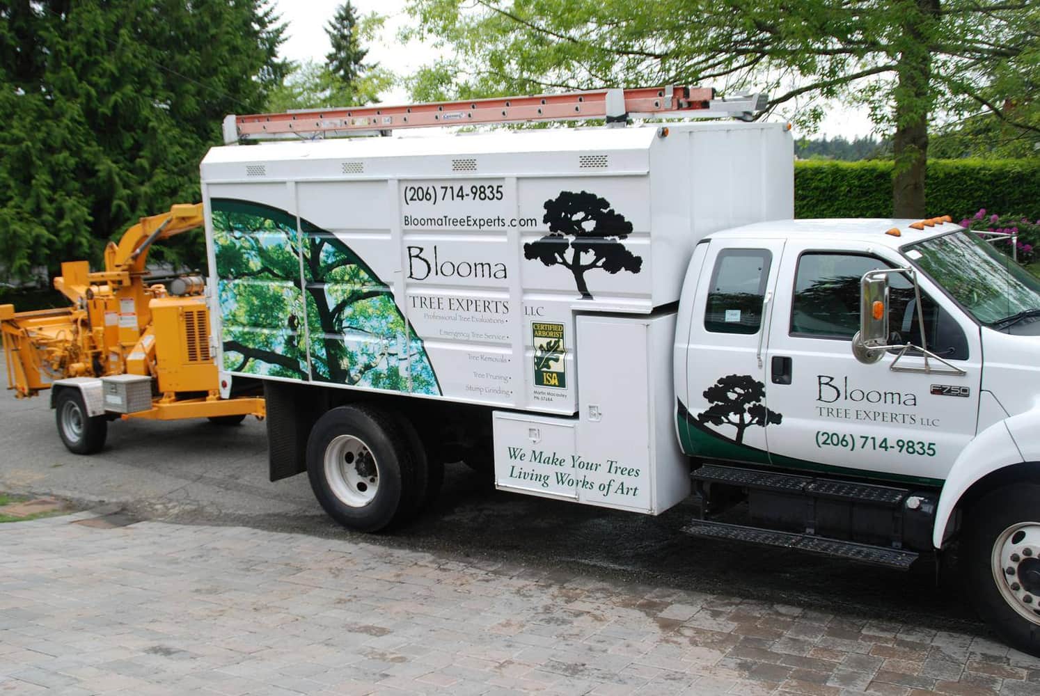 Blooma Tree Experts LLC
