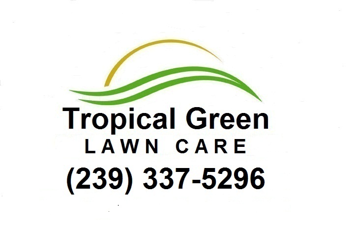 Tropical Green Lawn Care
