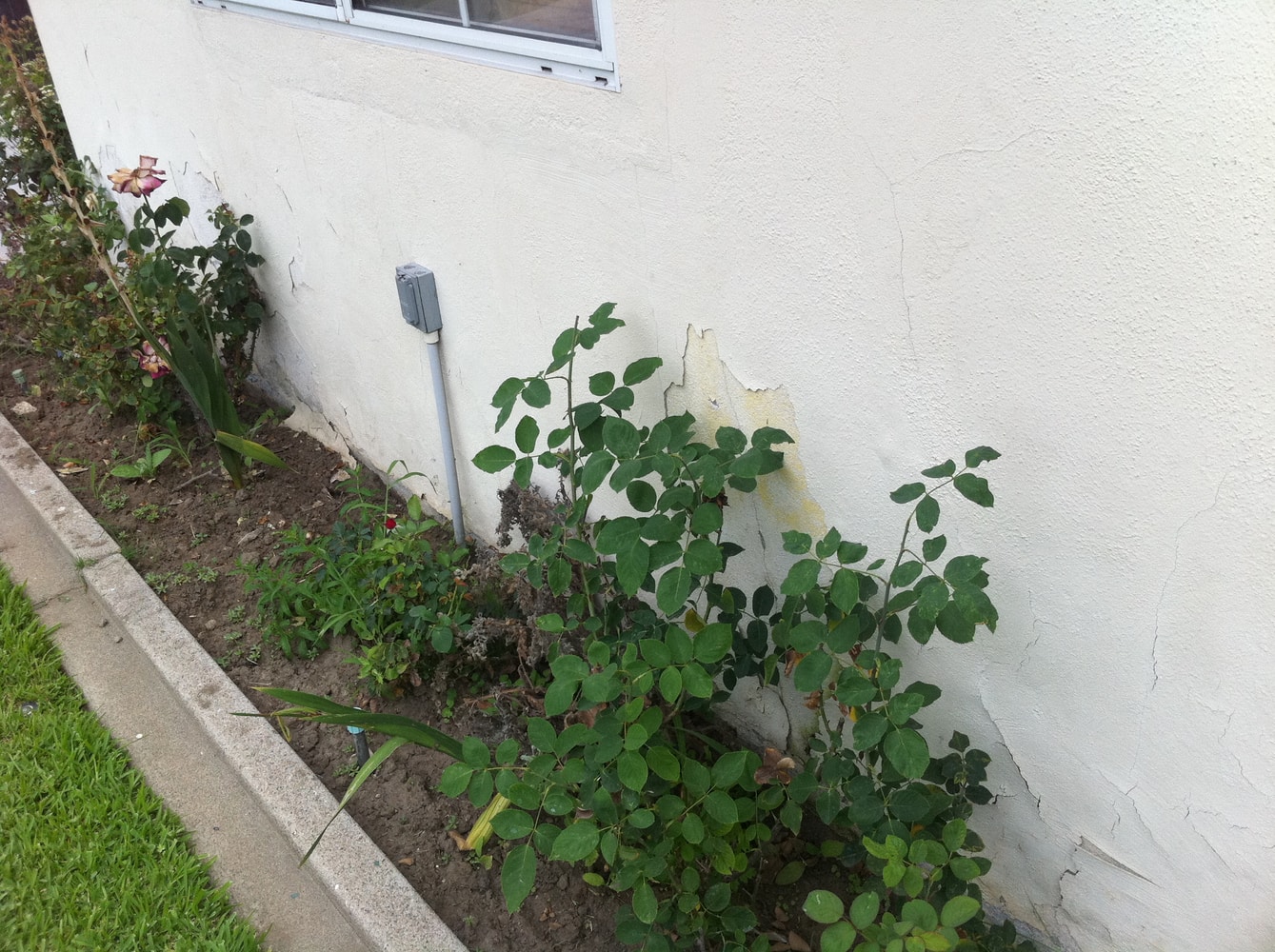 Projects by Affinity Painting Inc.