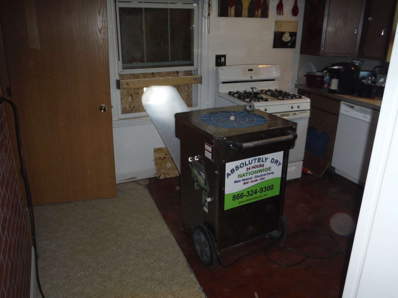 Photos from Absolutely Dry Llc