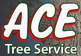 Ace Tree Service LLC