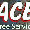 Ace Tree Service LLC