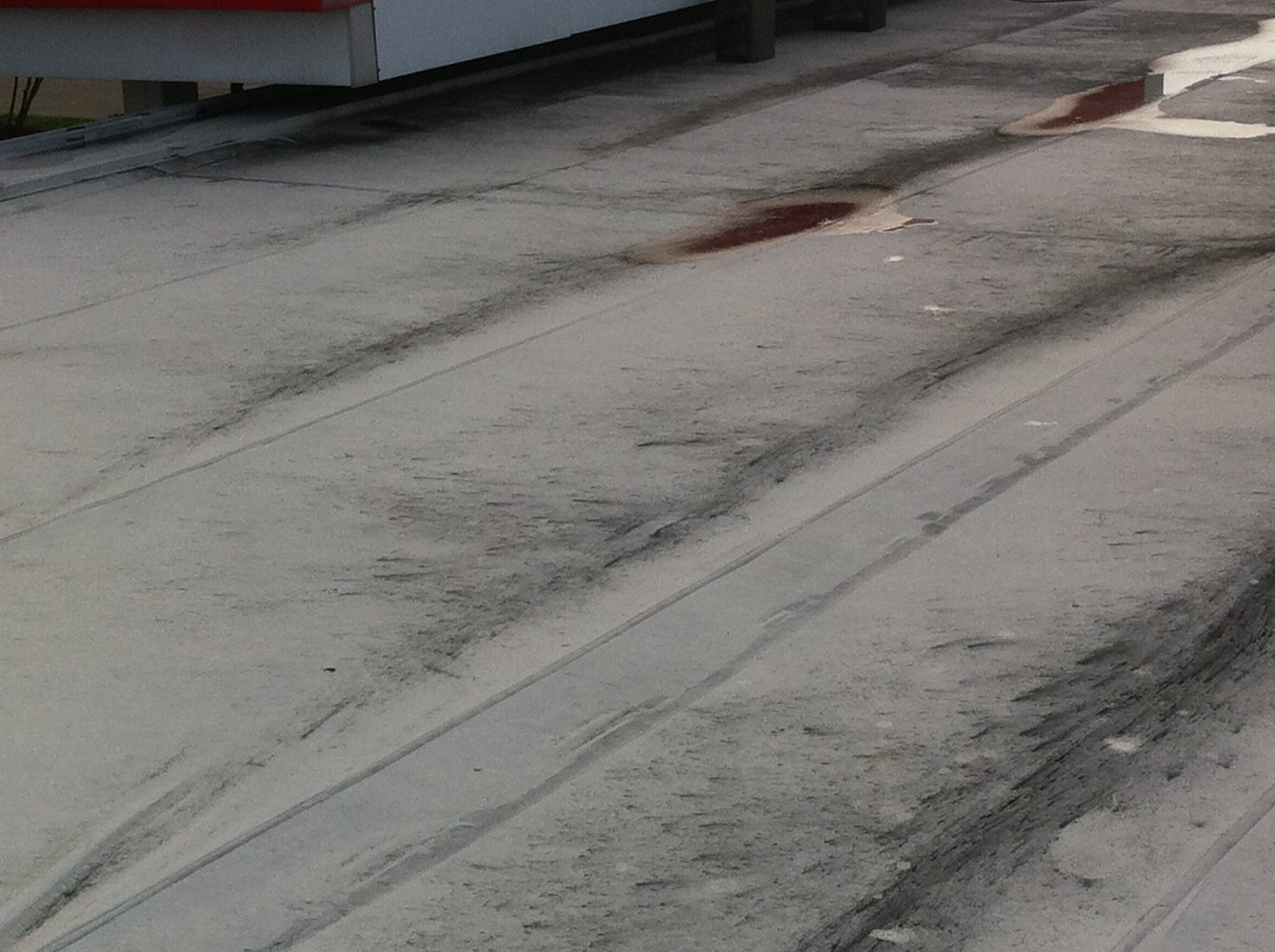 Photos from Michael Ryan