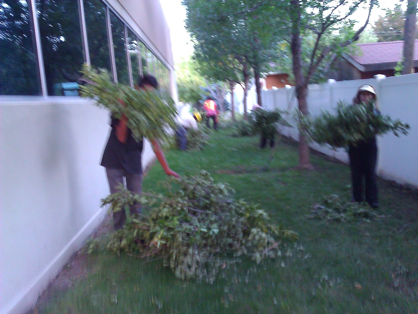 Project photos from Najera's Services