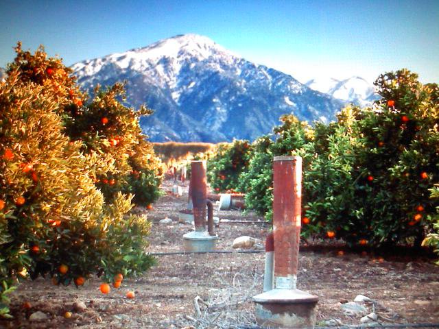 Citrus Valley Plumbing