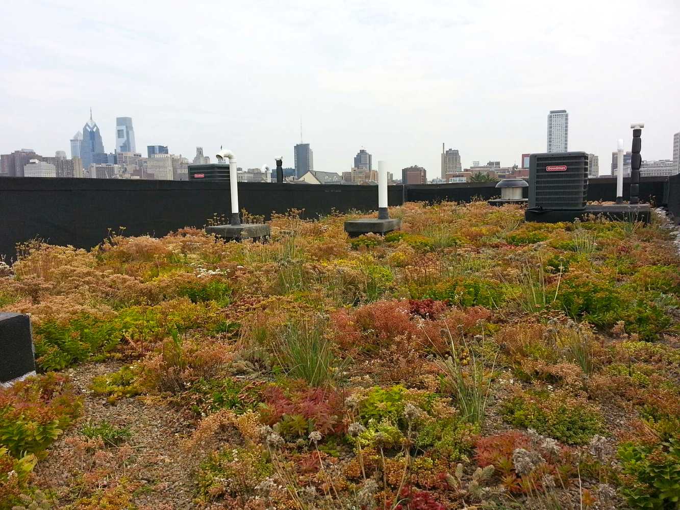 Vegetated Roofs