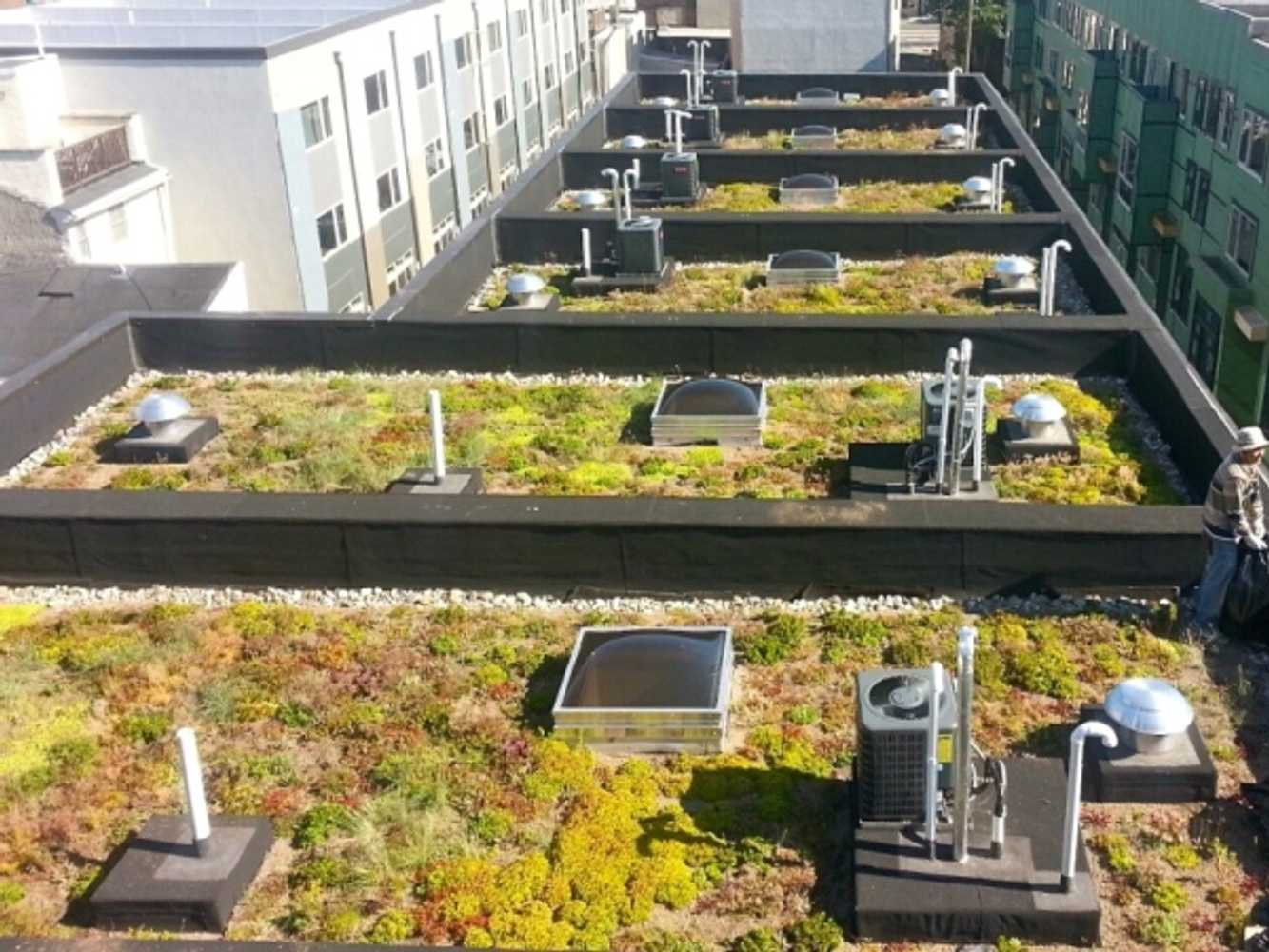 Vegetated Roofs