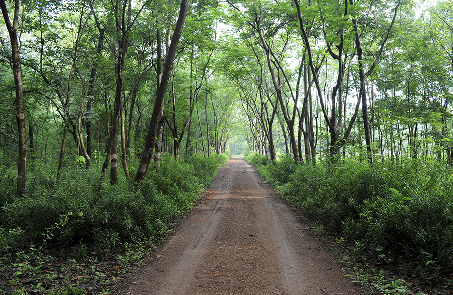 Tru Wood Cabinets Alabama Read Reviews Get A Bid Buildzoom