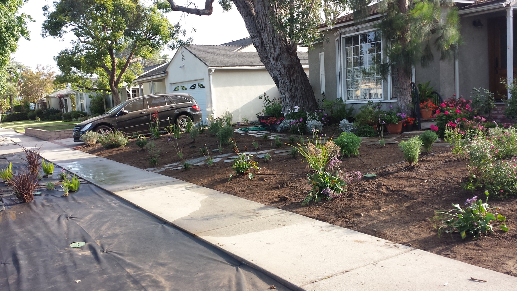 Photo(s) from Green Cali Landscape & Maintenance