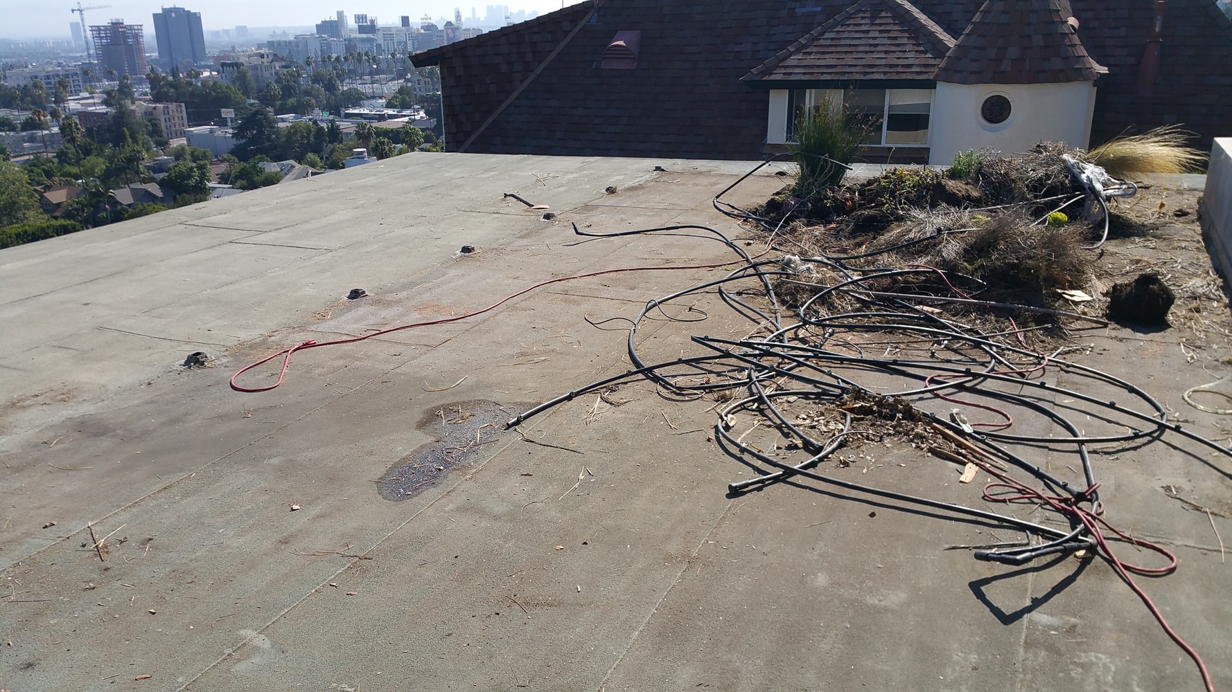 Rooftop Hollywod Hills