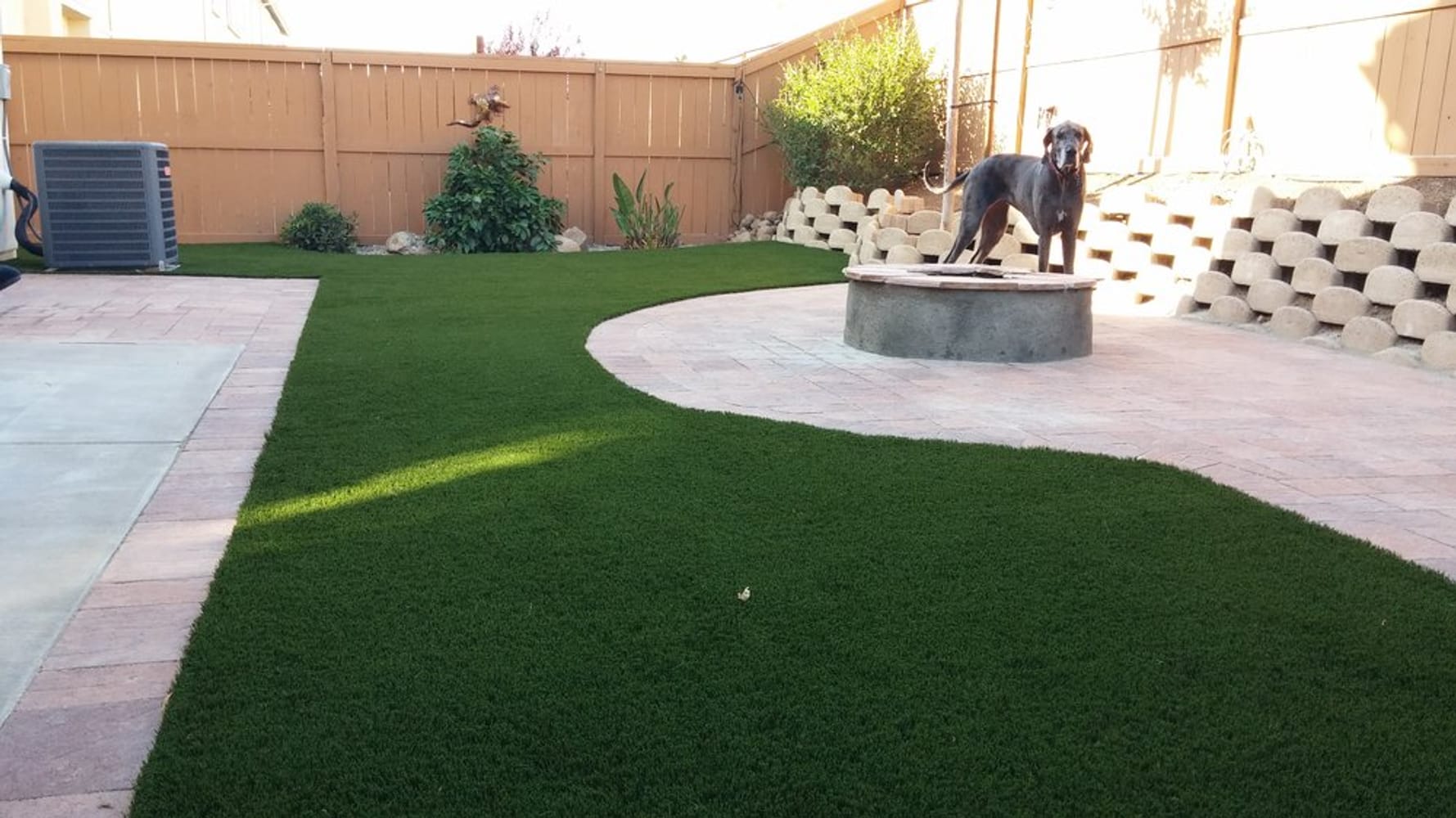 Drought Resistant Landscape Ideas