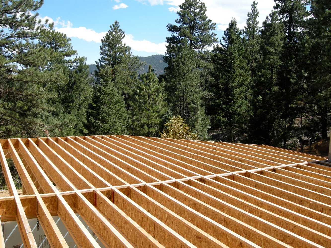 Photo(s) from Black Timber Builders