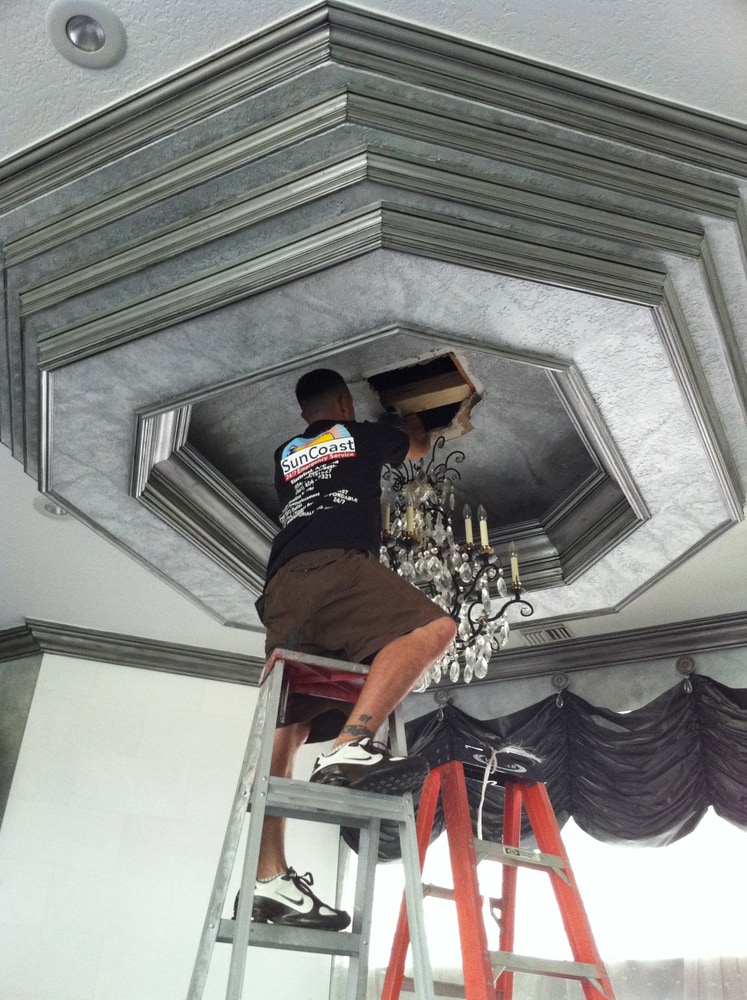 Suncoast Electric And Air Inc Photos