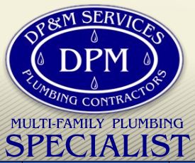 DP&M Services Inc