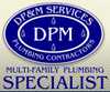 DP&M Services Inc