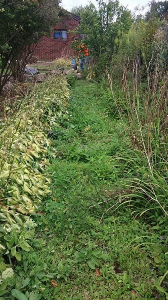 Photos from mb landscapins.com