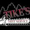 Tikes Tree Removal & Landscaping Llc