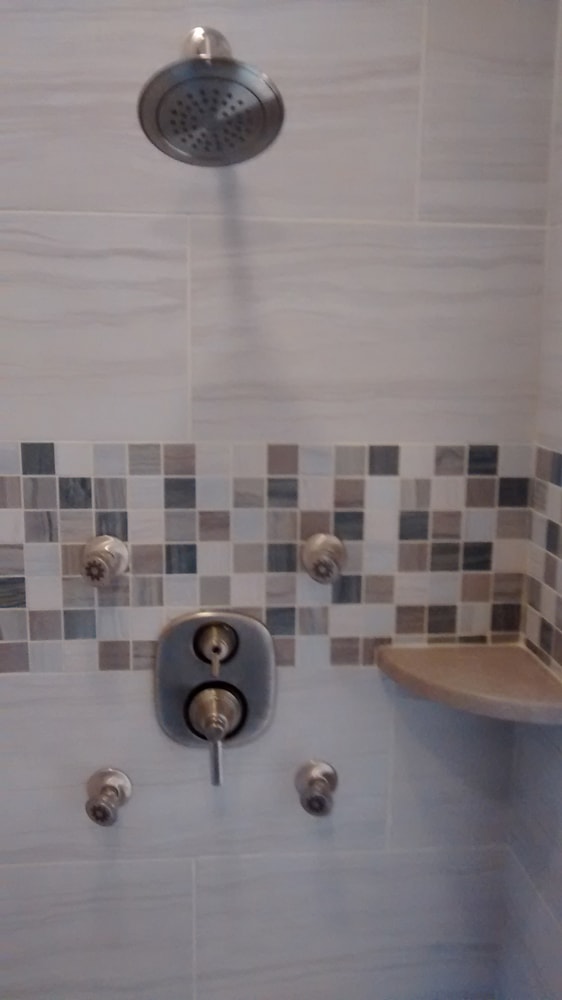 Newsome Master Bathroom Remodel