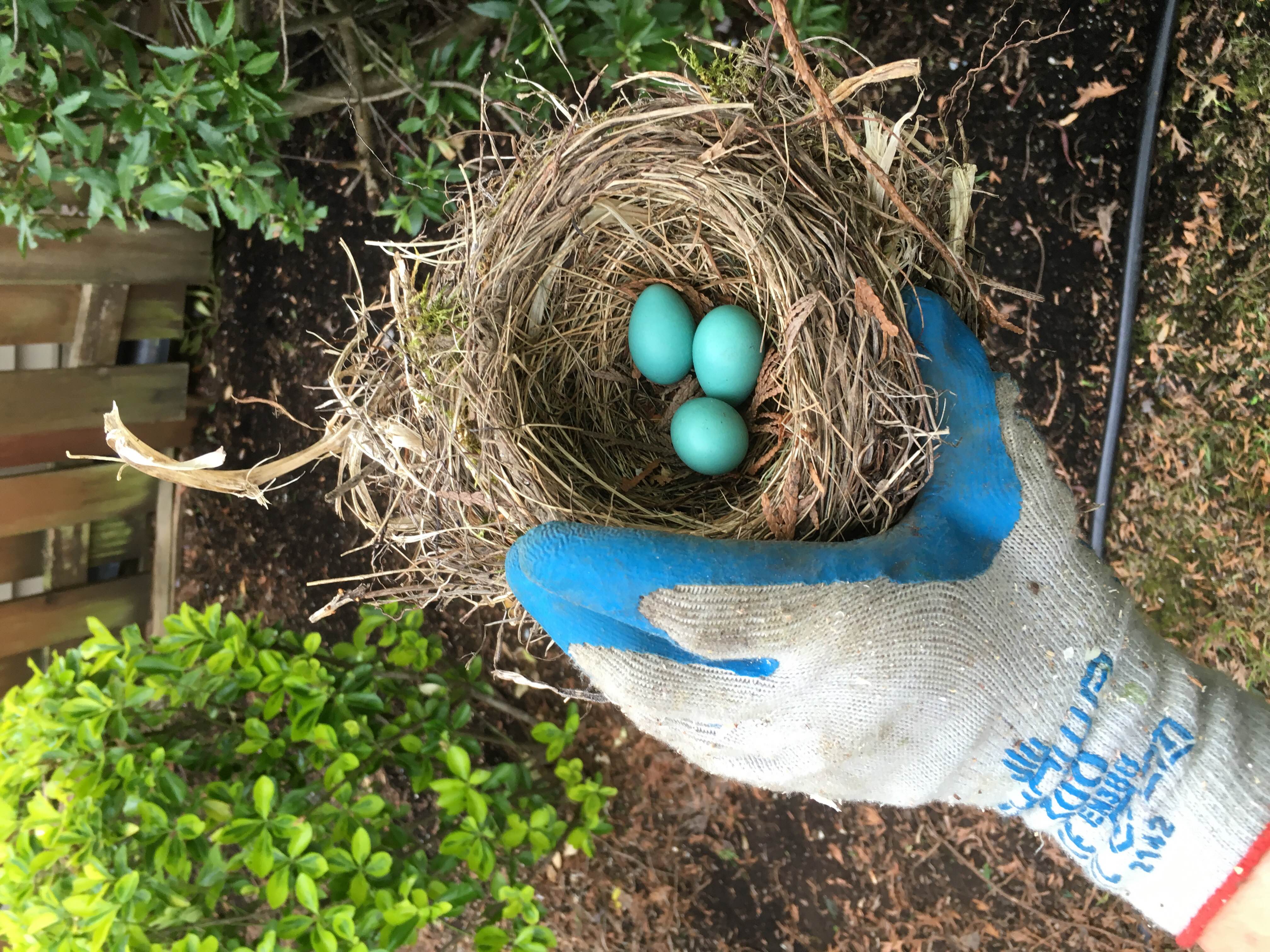 Cloudy Sky Tree Services