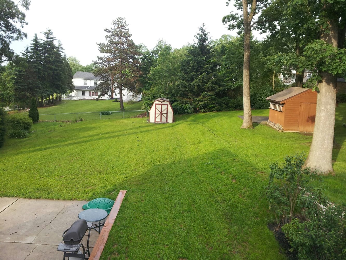 Tobin excavating Photos