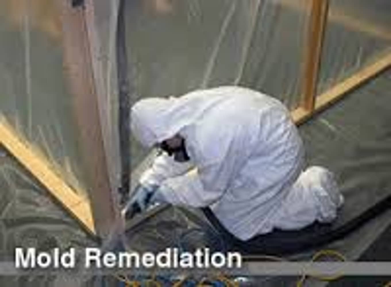 Photo(s) from Restorers.com