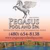 Pegasus Pool & Spa Llc
