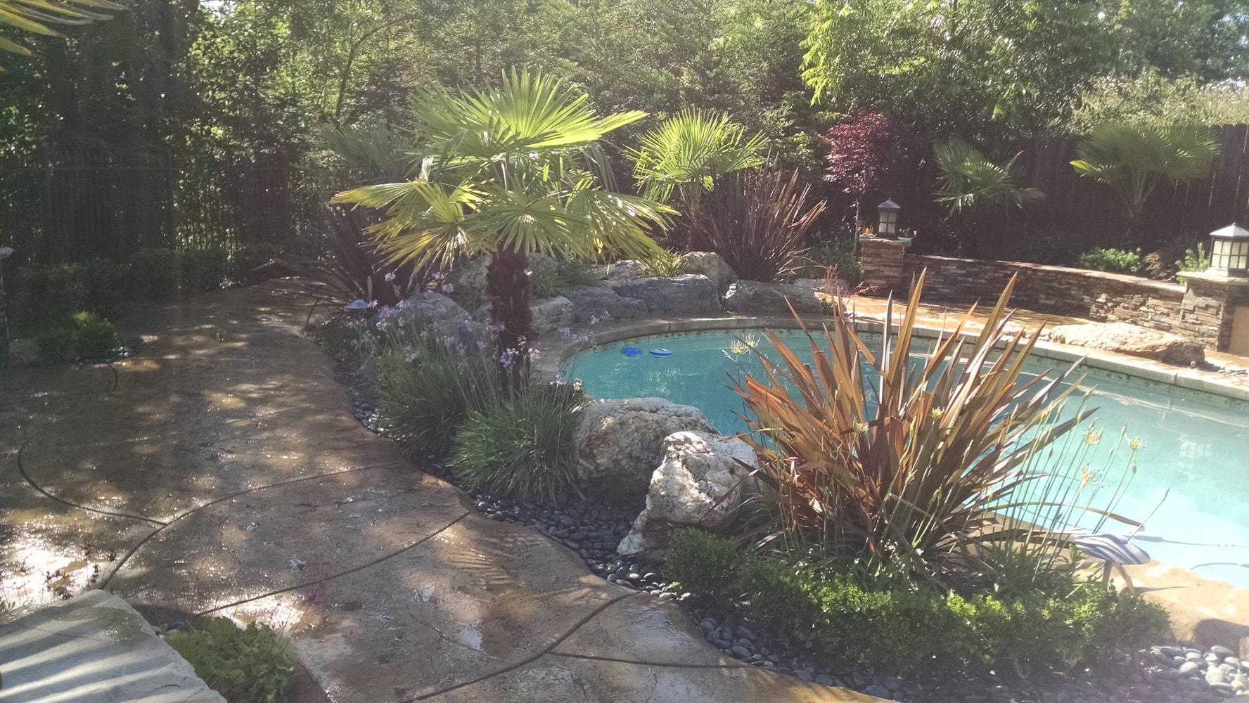 My Landdcape Design and Projects