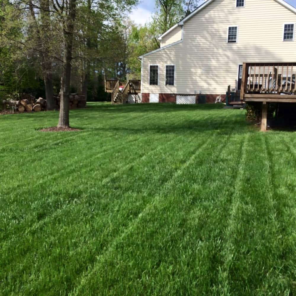 Custom Landscape Services Gallery