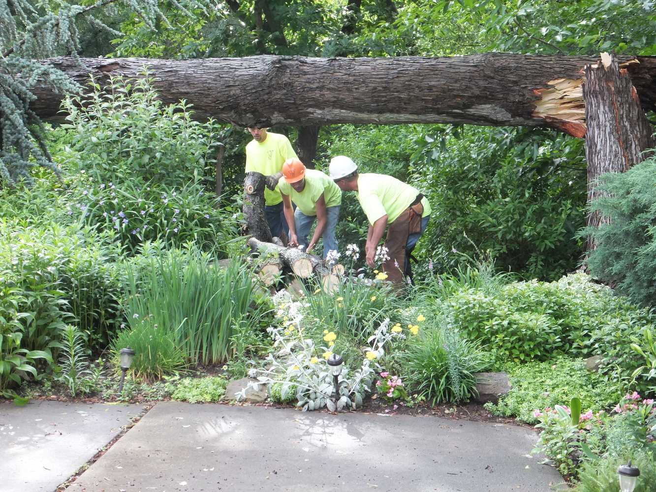 Photo(s) from Vaughan's Tree Service Inc