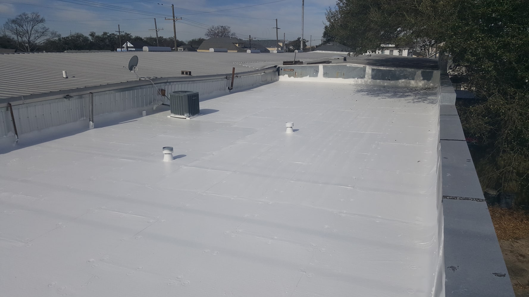 Photos from Michael Ryan