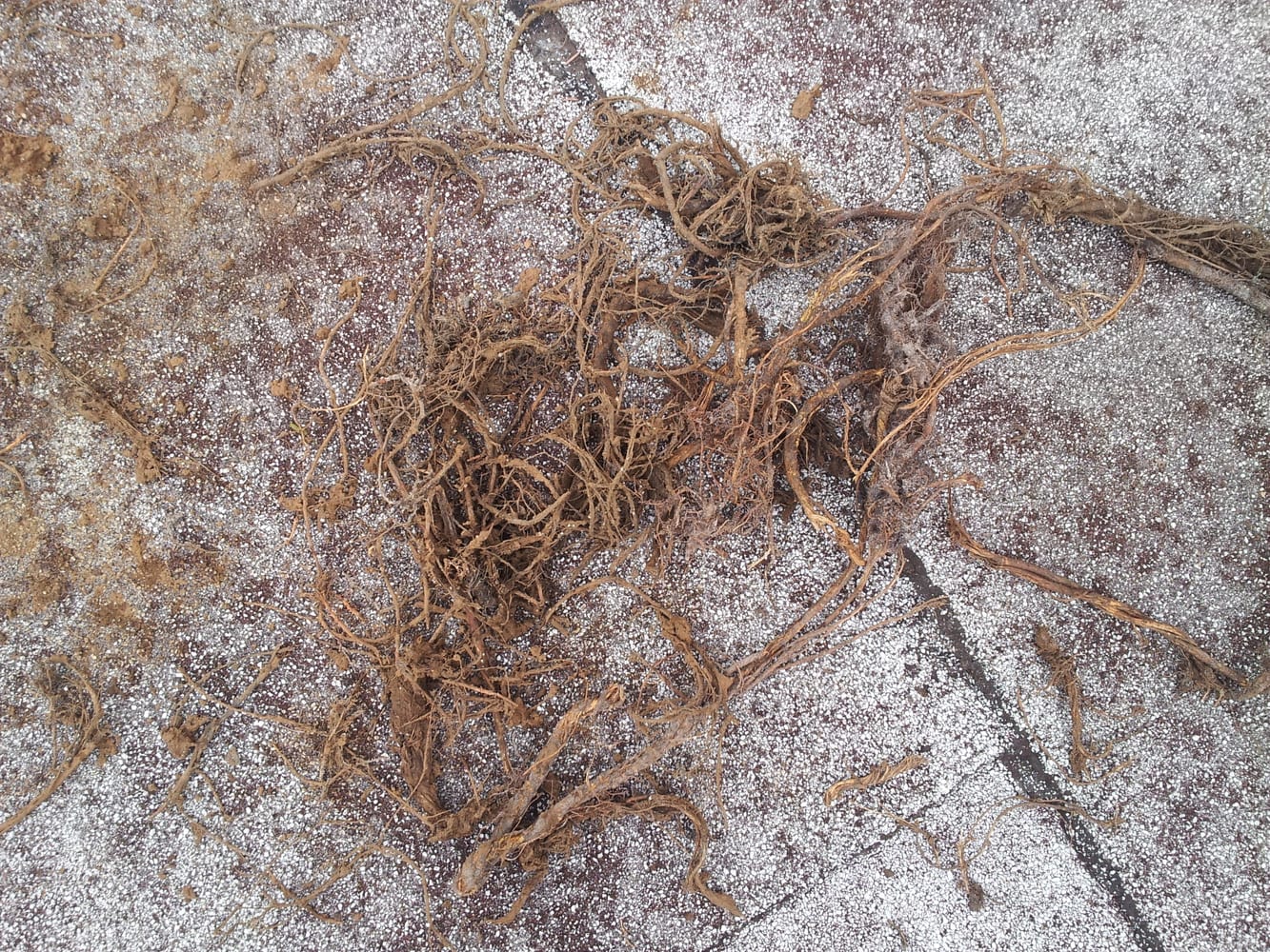 A Topping Plumbing Inc Project