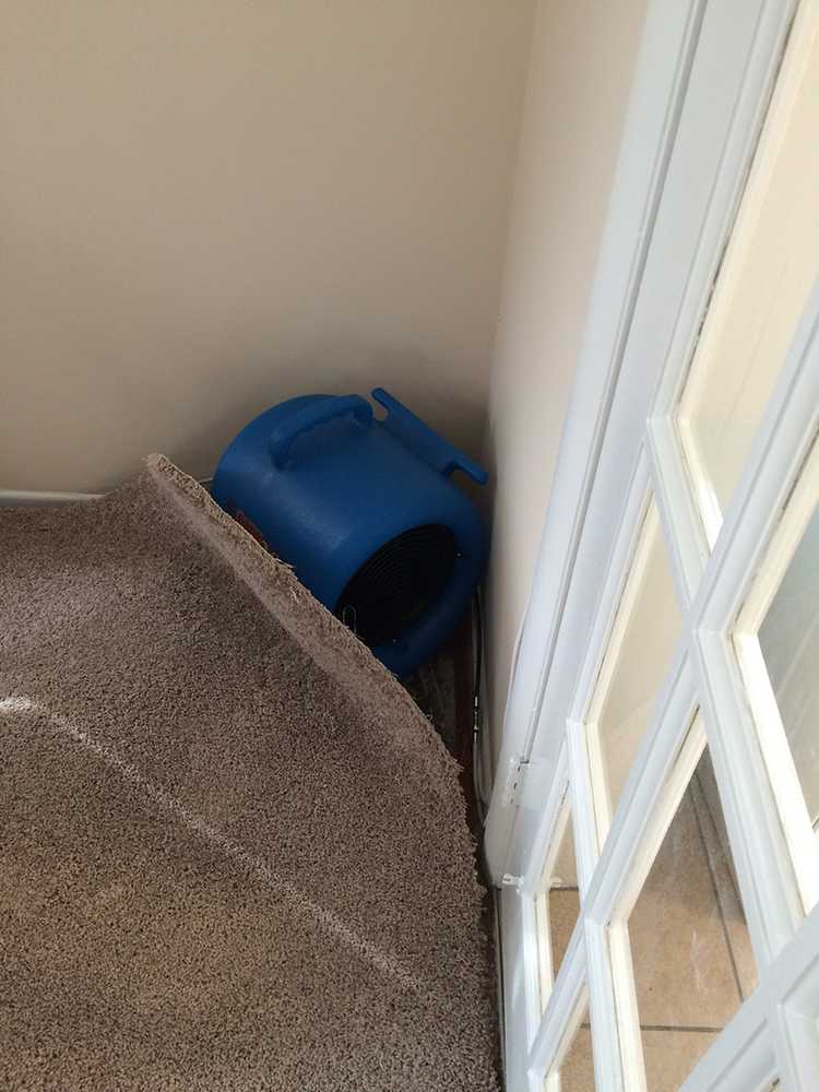UCM Upholstery Cleaning - Houston, TX
