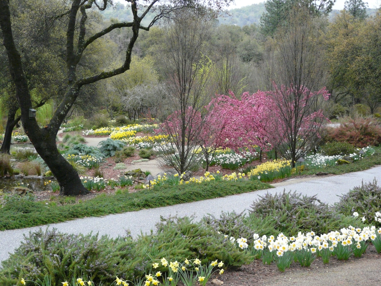 Project photos from Dawn Landscaping Inc